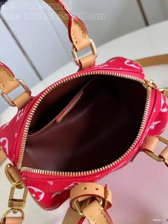 LOUIS SPEEDY 18 VUITTON 0508